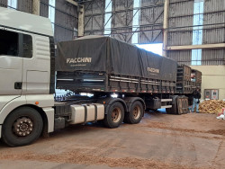 PF usa carreta bitrem para levar 30 toneladas de droga a incinerador