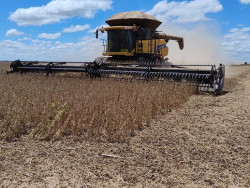 Produtividade estadual da safra de soja 24/25 é de 51,78 sacas por hectare