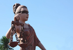 Homem é condenado em R$ 141 mil por manter filhotes de papagaio em cativeiro