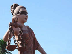 Homem é condenado em R$ 141 mil por manter filhotes de papagaio em cativeiro