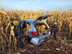 Homem é preso com 426 quilos de maconha que pegou em Ponta Porã