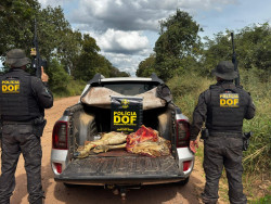 Cinco pessoas são presas pelo DOF acusadas de furto de animais em Corumbá