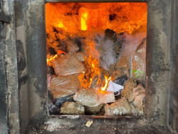 Polícia Civil incinera cerca de uma tonelada de drogas em MS