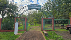 Perifeirarte começa nesta quinta-feira unindo arte, capacitação e cidadania