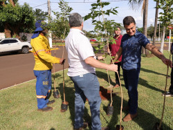 No Dia Mundial do Meio Ambiente, prefeito faz plantio de Ipês na Marcelino Pires