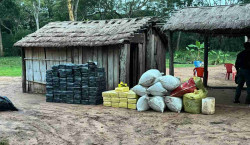 Senad destrói centro de produção de maconha na fronteira com Mundo Novo