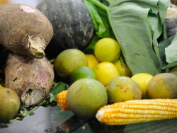 Preço da cesta básica cai em 15 de 17 capitais pesquisadas