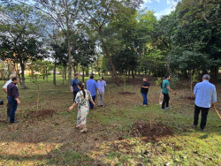 Feira Central recebe 84 novas árvores em ação de revitalização