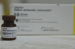MS completa 10 anos sem casos de febre amarela humana e mantém alerta com vacinação