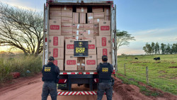 Caminhoneiro é preso com 30 mil pacotes de cigarros contrabandeados