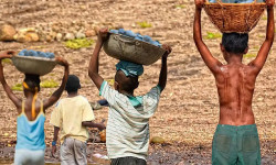 Mais de 6 mil crianças são resgatadas do trabalho infantil em 2 anos
