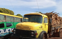 Polícia Ambiental apreende caminhão com madeira nativa em cidade de MS