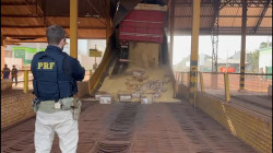 Caminhoneiro de SC é preso com 5,4 toneladas de maconha em meio a soja