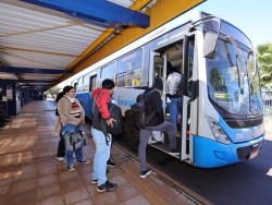 Vai para a Festa Junina de Dourados? Prefeitura disponibiliza ônibus gratuito; veja rotas
