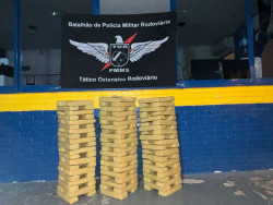 Homem é preso com quase 100 quilos de maconha; carga está avaliada em R$ 200 mil