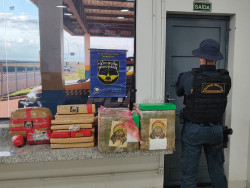 Dupla é presa com carga de drogas que tinha o interior paulista como destino