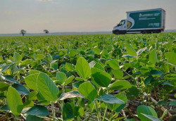 Dourados sediará 12º Encontro Nacional da Soja em agosto