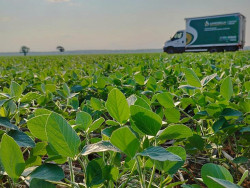 Dourados sediará 12º Encontro Nacional da Soja em agosto