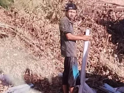 Rapaz é baleado na cabeça e morre em hospital; autor é preocurado pela polícia