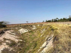 MP instaura inquéritos para investigar danos ambientais em áreas de proteção