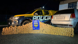 Morador de Ponta Porã é preso na capital com 560 quilos de maconha