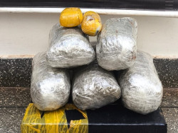 Homem que seguia com droga em ônibus para Caarapó é preso pelo DOF