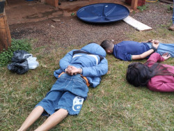 Polícia Civil prende chefe do tráfico na região de estação ferroviária