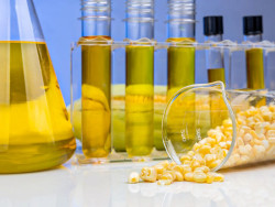 Indústria de etanol de milho deve registrar margem de até 34,7% em 25/26