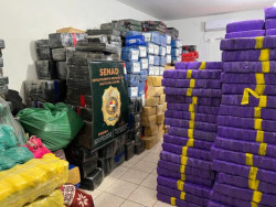 Senad apreende 13 toneladas de maconha que seriam enviadas para o Brasil