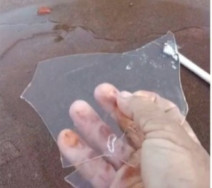 Primeira frente fria do inverno teve água congelada e horta de alface coberta de geada