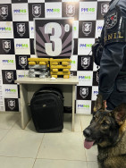 Homem que saiu de Ponta Porã é preso com maconha e haxixe em Dourados