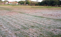 Dourados tem outra madrugada gelada com formação de geada