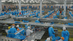 Indústria criou mais de 910 mil empregos em quatro anos, aponta IBGE