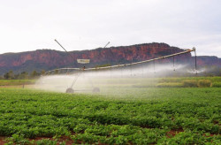 Pantanal Tech MS se consolida como vitrine do agro sustentável e economia criativa