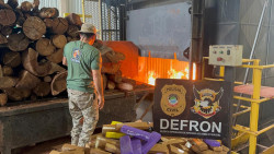 Defron queima 9,5 toneladas de drogas em Ponta Porã
