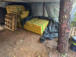 Polícia descobre acampamento clandestino e apreende 8 toneladas de maconha