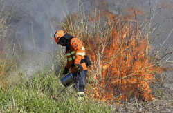 Imasul publica mapa de áreas prioritárias para execução da queima no Pantanal