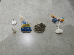 Civil e Militar desarticulam esquema de tráfico de drogas e 2 homens são presos