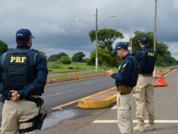 Homem é preso pela PRF com 665 quilos de maconha em Naviraí