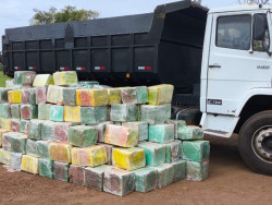 Droga apreendida pela Guarda e PM totaliza quase 6 toneladas