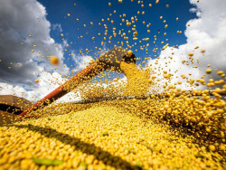 Plano Safra: setor vê gargalos na execução e alerta para juros elevados