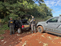 Homem é preso levando meia tonelada de droga para São Paulo