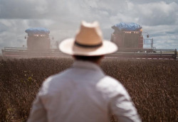 Plano Safra 2025/2026 tem recursos mais caros da história ao produtor