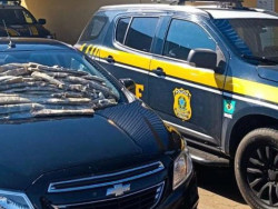 Polícia Rodoviária Federal apreende 35 quilos de maconha “ICE” em Bataguassu