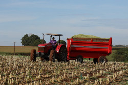 Secretaria seleciona agricultores familiares para distribuição de fertilizante orgânico