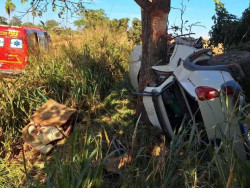 Caminhonete bate em árvore e quatro trabalhadores rurais morrem em MS
