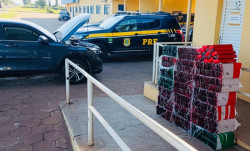 PRF prende homem com 437,5 quilos de maconha em veículo roubado