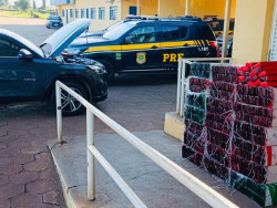 PRF prende homem com 437,5 quilos de maconha em veículo roubado