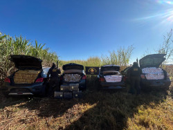 DOF intercepta 7 veículos carregados com droga e cigarros em rota compartilhada por facções