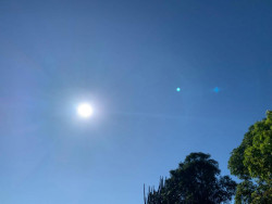 Quarta-feira de sol e temperatura máxima de 25ºC em Dourados